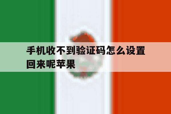 手机收不到验证码怎么设置回来呢苹果 手机收不到验证码怎么设置回来呢苹果