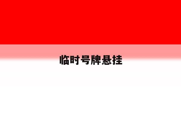 临时号牌悬挂 临时号牌悬挂