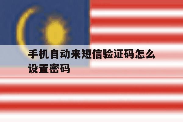 手机自动来短信验证码怎么设置密码 手机自动来短信验证码怎么设置密码