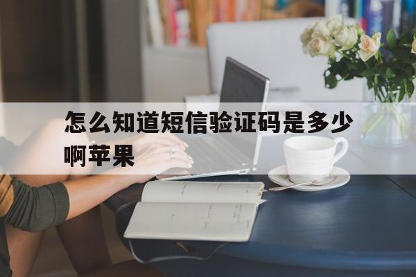 怎么知道短信验证码是多少啊苹果 怎么知道短信验证码是多少啊苹果