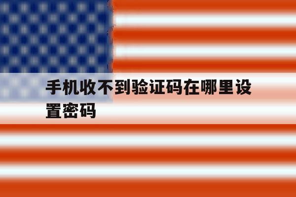 手机收不到验证码在哪里设置密码 手机收不到验证码在哪里设置密码