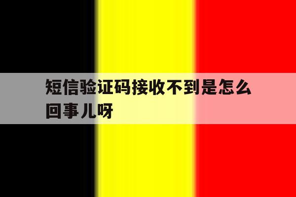 短信验证码接收不到是怎么回事儿呀 短信验证码接收不到是怎么回事儿呀