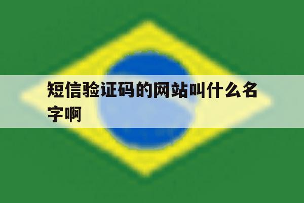 短信验证码的网站叫什么名字啊 短信验证码的网站叫什么名字啊