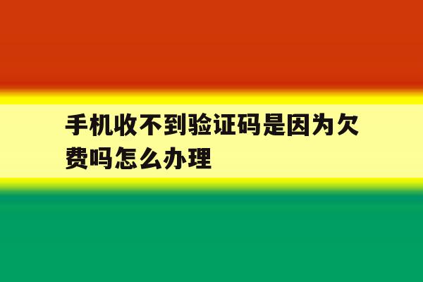 手机收不到验证码是因为欠费吗怎么办理 手机收不到验证码是因为欠费吗怎么办理