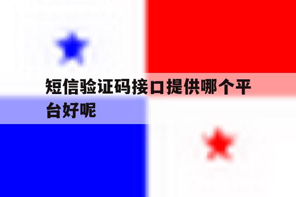 短信验证码接口提供哪个平台好呢 短信验证码接口提供哪个平台好呢