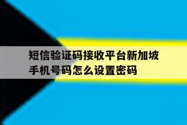 短信验证码接收平台新加坡手机号码怎么设置密码的简单介绍 短信验证码接收平台新加坡手机号码怎么设置密码的简单介绍