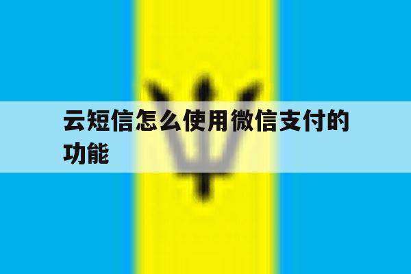 云短信怎么使用微信支付的功能 云短信怎么使用微信支付的功能