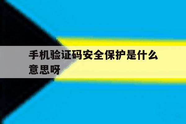 手机验证码安全保护是什么意思呀 手机验证码安全保护是什么意思呀
