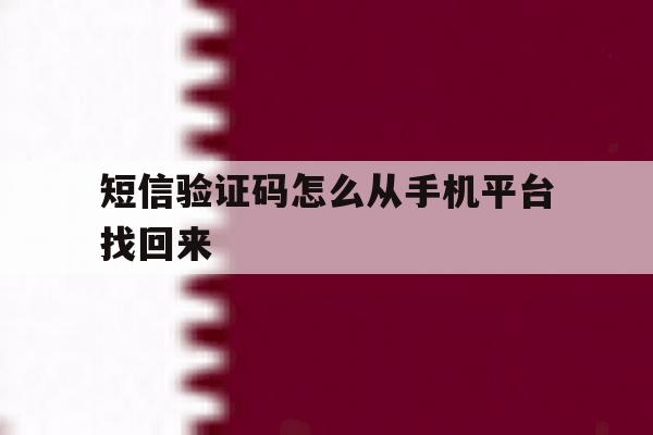 短信验证码怎么从手机平台找回来 短信验证码怎么从手机平台找回来