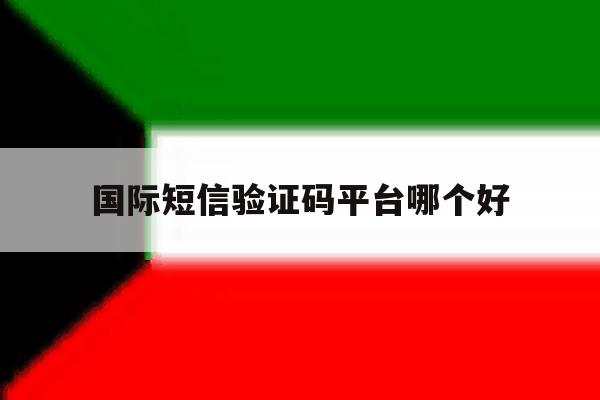 国际短信验证码平台哪个好 国际短信验证码平台哪个好