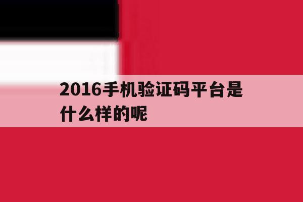 2016手机验证码平台是什么样的呢 2016手机验证码平台是什么样的呢