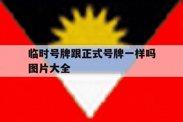 临时号牌跟正式号牌一样吗图片大全 临时号牌跟正式号牌一样吗图片大全