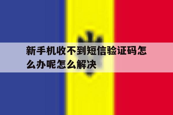 包含新手机收不到短信验证码怎么办呢怎么解决的词条 包含新手机收不到短信验证码怎么办呢怎么解决的词条