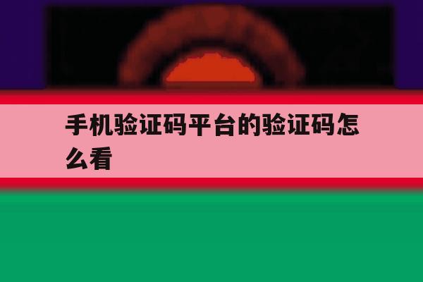 手机验证码平台的验证码怎么看的简单介绍 手机验证码平台的验证码怎么看的简单介绍