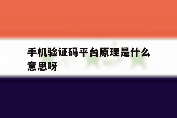 手机验证码平台原理是什么意思呀 手机验证码平台原理是什么意思呀