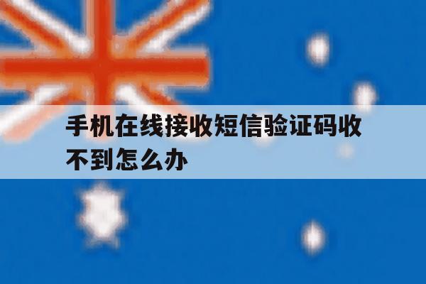 手机在线接收短信验证码收不到怎么办 手机在线接收短信验证码收不到怎么办
