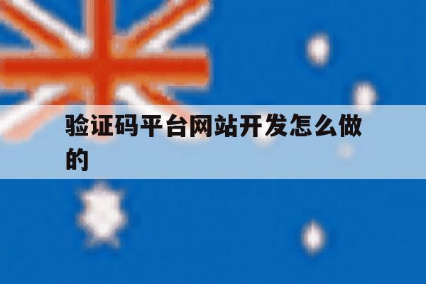 验证码平台网站开发怎么做的 验证码平台网站开发怎么做的