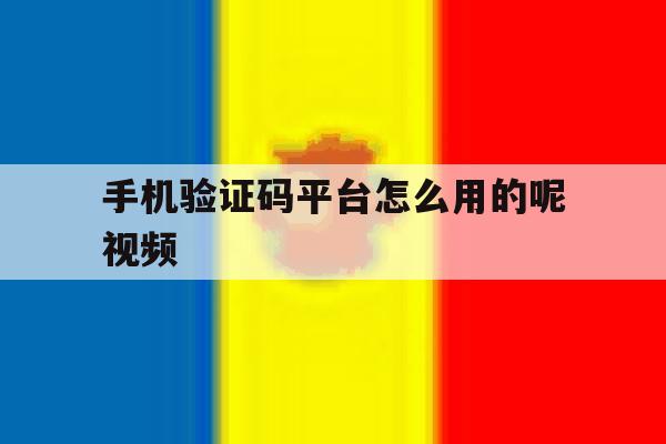 手机验证码平台怎么用的呢视频 手机验证码平台怎么用的呢视频
