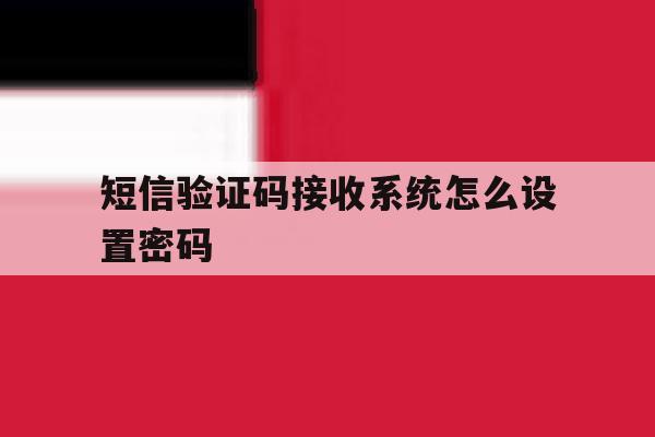 短信验证码接收系统怎么设置密码 短信验证码接收系统怎么设置密码