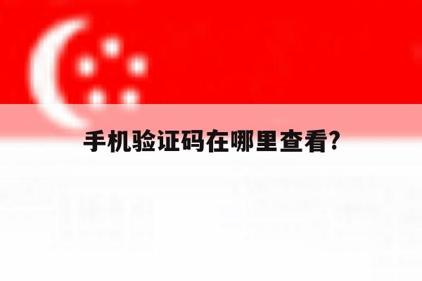 手机验证码在哪里查看? 手机验证码在哪里查看?