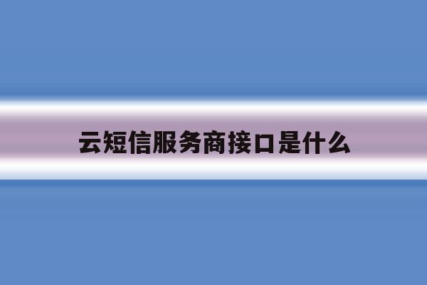 云短信服务商接口是什么 云短信服务商接口是什么