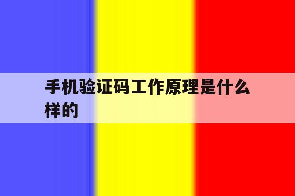 手机验证码工作原理是什么样的 手机验证码工作原理是什么样的