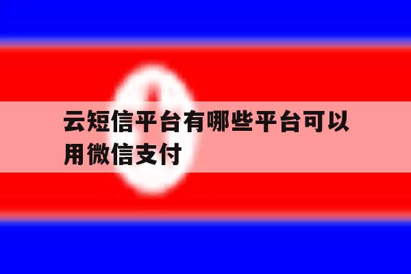 云短信平台有哪些平台可以用微信支付 云短信平台有哪些平台可以用微信支付