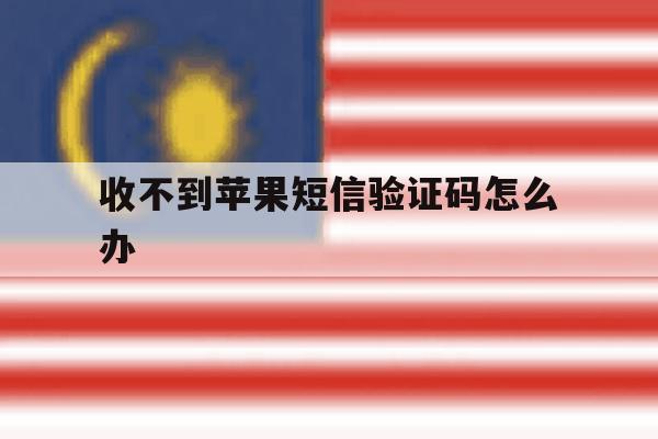 收不到苹果短信验证码怎么办 收不到苹果短信验证码怎么办
