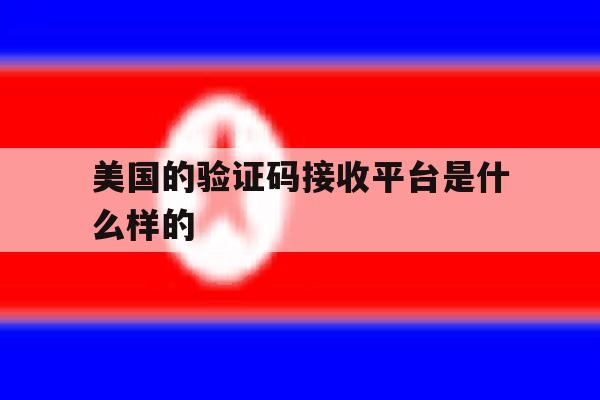 美国的验证码接收平台是什么样的 美国的验证码接收平台是什么样的