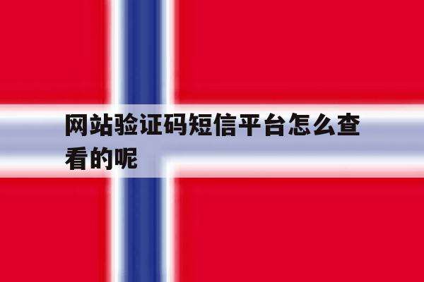 网站验证码短信平台怎么查看的呢 网站验证码短信平台怎么查看的呢