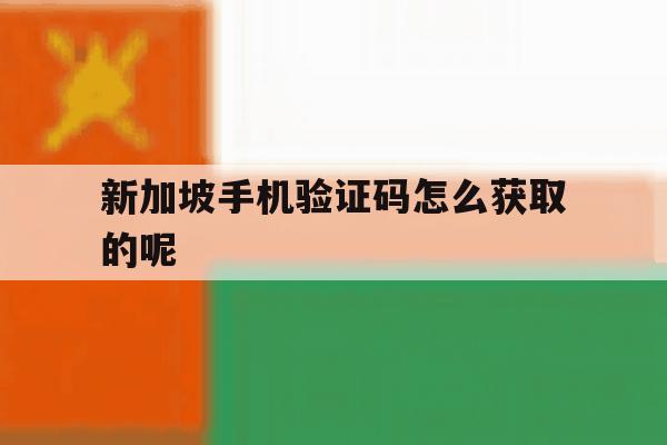 新加坡手机验证码怎么获取的呢 新加坡手机验证码怎么获取的呢