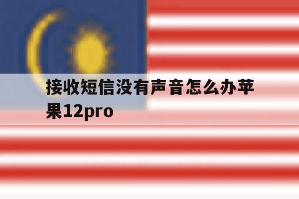 关于接收短信没有声音怎么办苹果12pro的信息 关于接收短信没有声音怎么办苹果12pro的信息