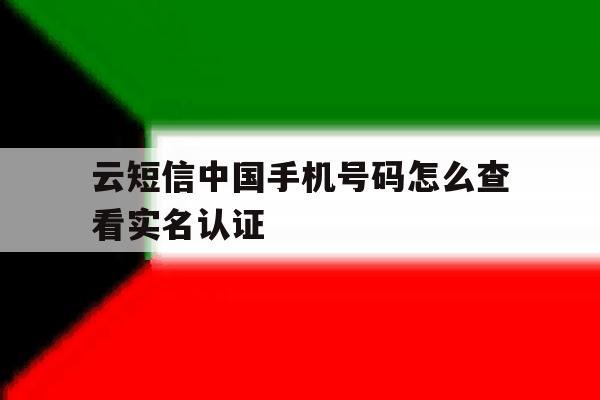 云短信中国手机号码怎么查看实名认证 云短信中国手机号码怎么查看实名认证