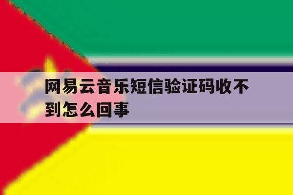 网易云音乐短信验证码收不到怎么回事 网易云音乐短信验证码收不到怎么回事