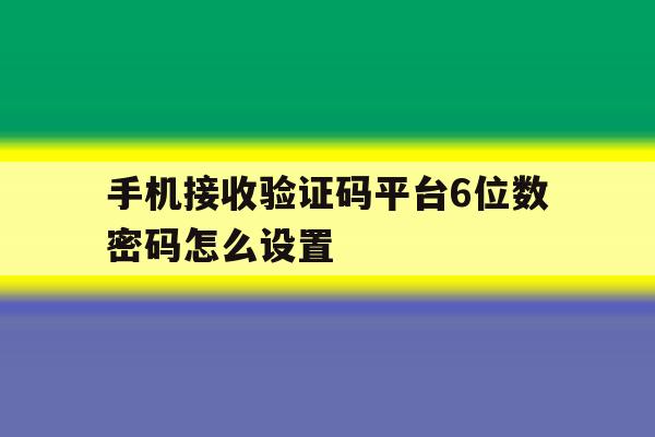 手机接收验证码平台6位数密码怎么设置 手机接收验证码平台6位数密码怎么设置