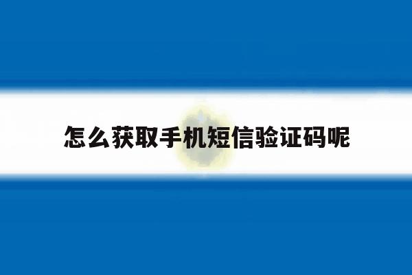 怎么获取手机短信验证码呢 怎么获取手机短信验证码呢
