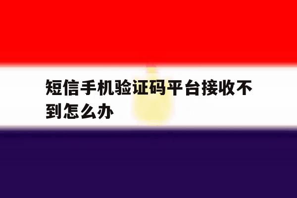 短信手机验证码平台接收不到怎么办 短信手机验证码平台接收不到怎么办
