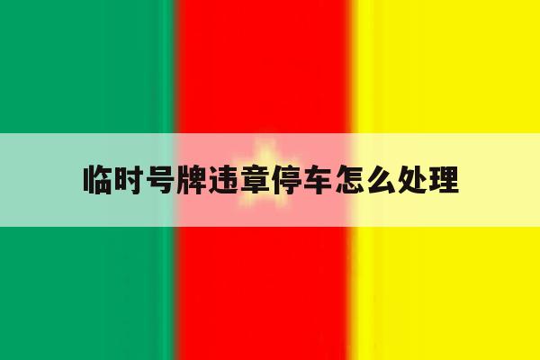 临时号牌违章停车怎么处理 临时号牌违章停车怎么处理
