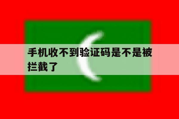 手机收不到验证码是不是被拦截了 手机收不到验证码是不是被拦截了