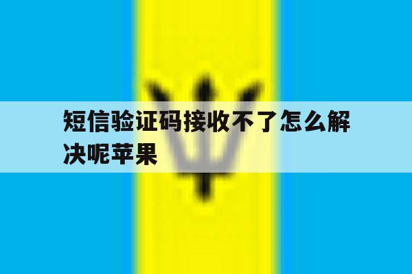 短信验证码接收不了怎么解决呢苹果 短信验证码接收不了怎么解决呢苹果