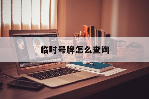 临时号牌怎么查询 临时号牌怎么查询