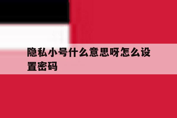 隐私小号什么意思呀怎么设置密码的简单介绍 隐私小号什么意思呀怎么设置密码的简单介绍