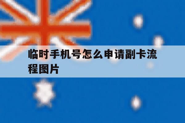 临时手机号怎么申请副卡流程图片 临时手机号怎么申请副卡流程图片