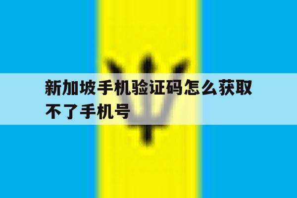 新加坡手机验证码怎么获取不了手机号 新加坡手机验证码怎么获取不了手机号