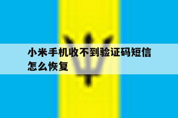 小米手机收不到验证码短信怎么恢复 小米手机收不到验证码短信怎么恢复