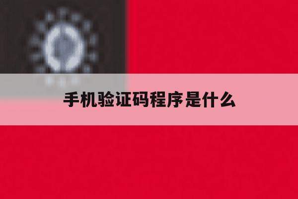 手机验证码程序是什么 手机验证码程序是什么