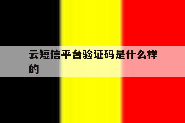云短信平台验证码是什么样的 云短信平台验证码是什么样的