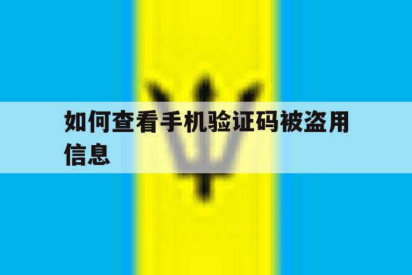 如何查看手机验证码被盗用信息 如何查看手机验证码被盗用信息