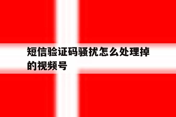 包含短信验证码骚扰怎么处理掉的视频号的词条 包含短信验证码骚扰怎么处理掉的视频号的词条