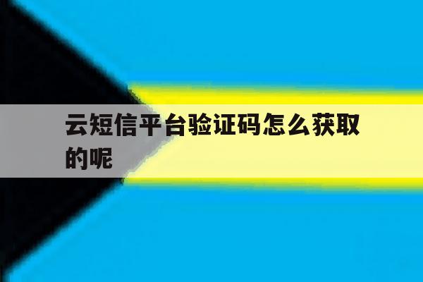 云短信平台验证码怎么获取的呢 云短信平台验证码怎么获取的呢